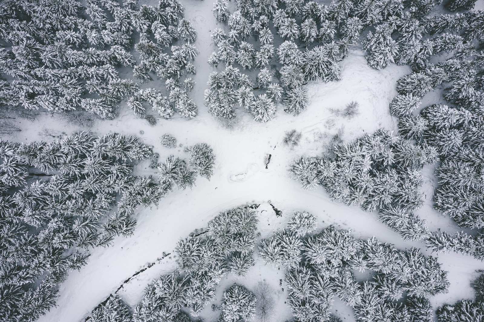 quebec en hiver