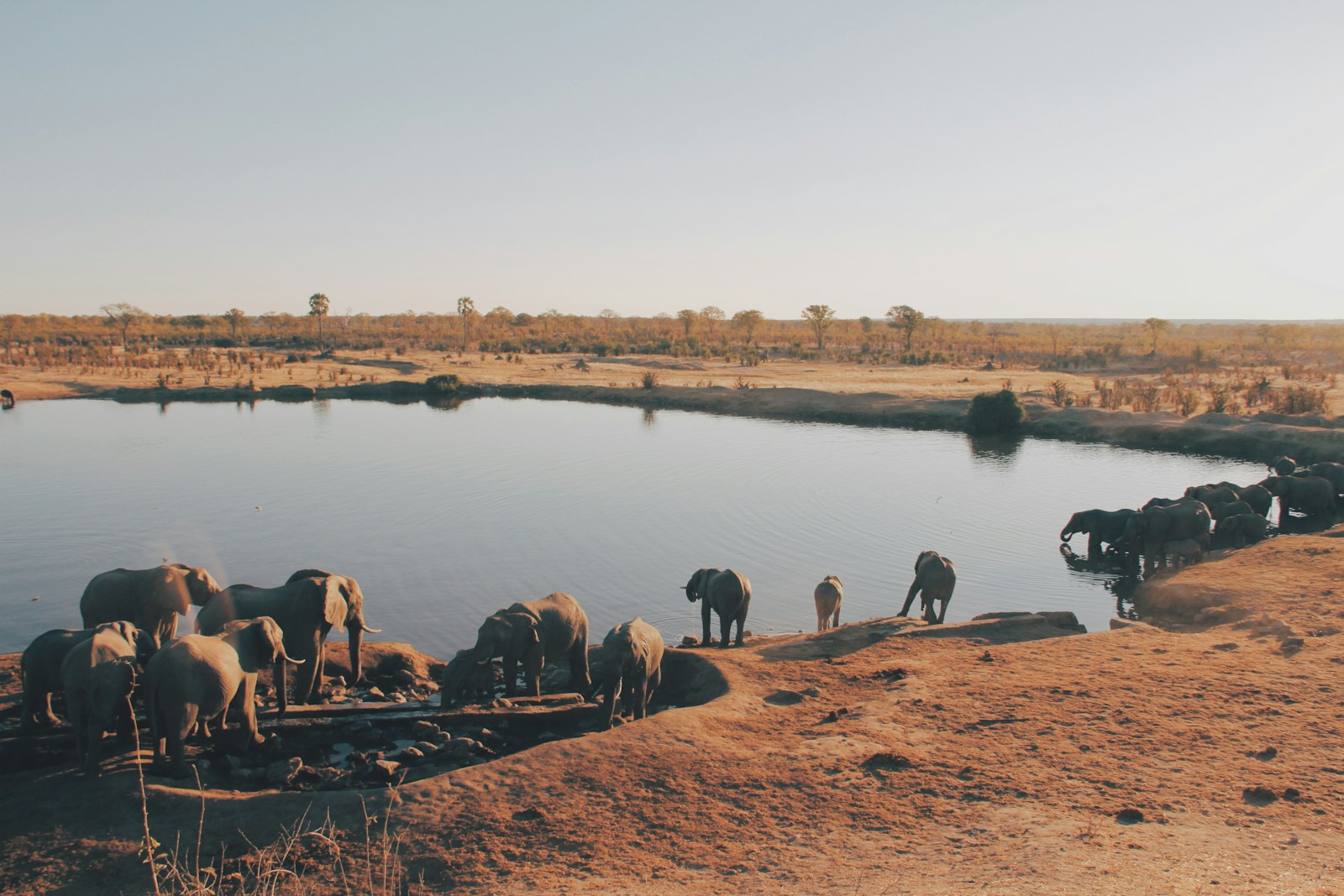 Safari au Zimbabwe : l’expédition sauvage africaine en pleine nature