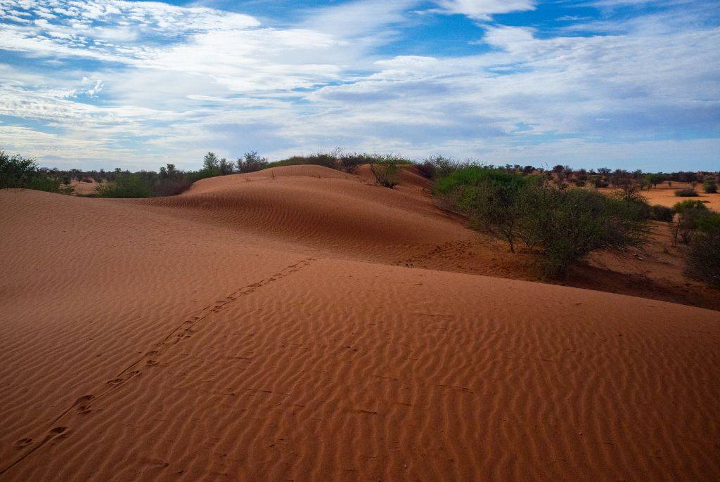 Aventures au Cœur du Désert du Kalahari: Guide Pratique